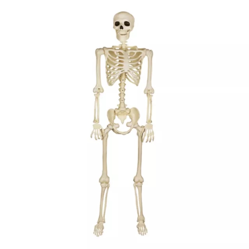 5 Ft Black Light Pose 'N' Stay Skeleton WHITE
