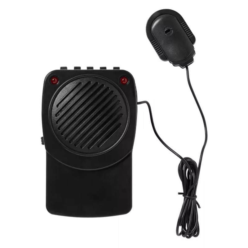 Voice Changer