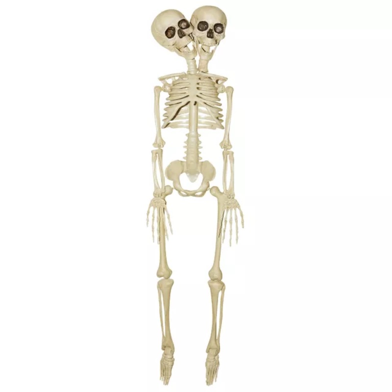20 Inch Two-Headed Skeleton WHITE 20 INCH