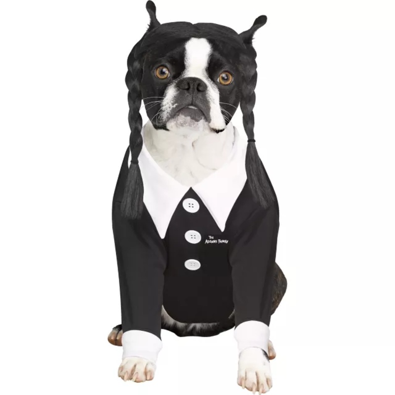 Wednesday Addams Pet Costume - The Addams Family BLACK PET SMALL
