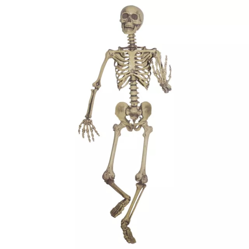 5 Ft Poseable Skeleton