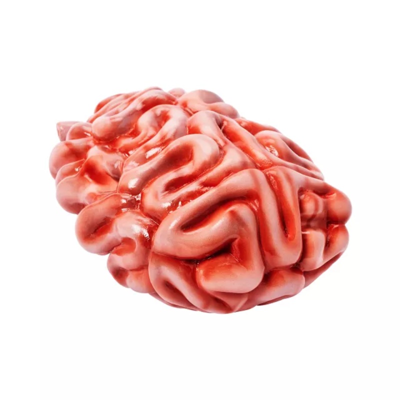 Intestines Prop