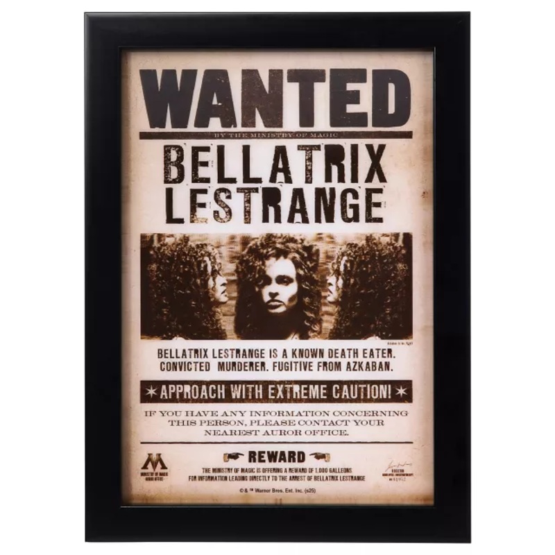 Bellatrix Lestrange Mugshot Sign - Harry Potter MULTI-COLOR 11 INCHES