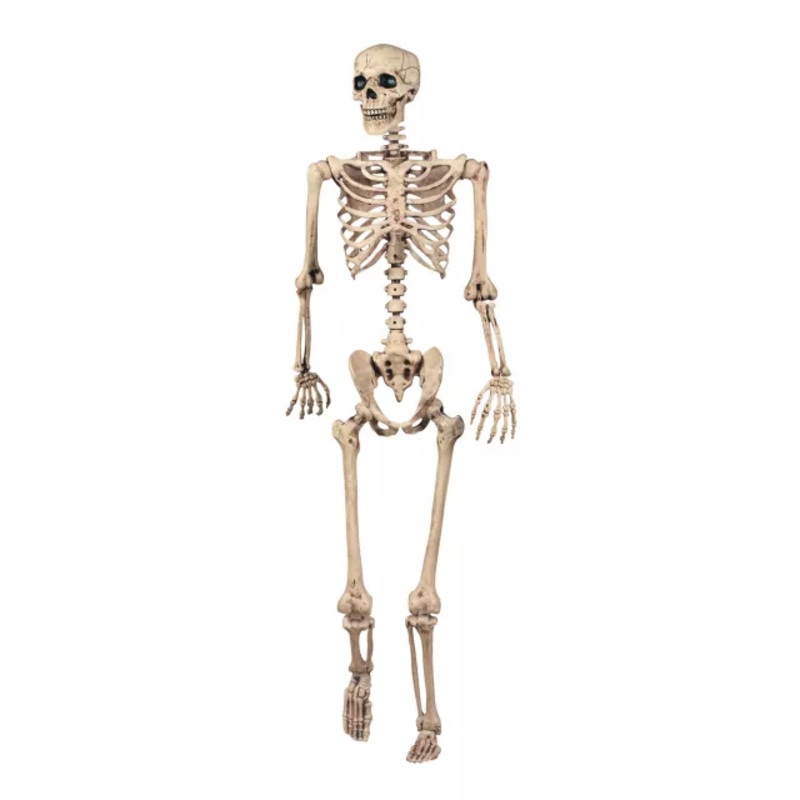 5 Ft Pose 'N' Stay Skeleton WHITE