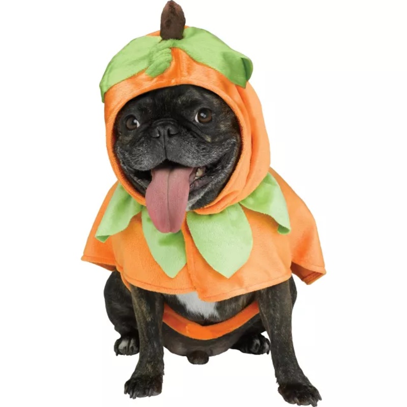 Pumpkin Pet Costume ORANGE/GREEN PET SMALL