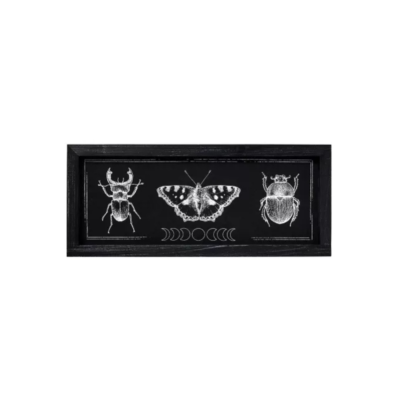 Insect Moon Phase Sign BLACK AND WHITE 20 INCH