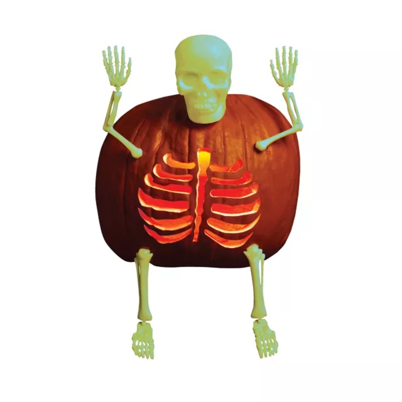 Glow in the Dark Skeleton Bones GLOW IN THE DARK