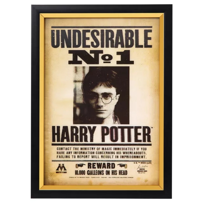 Harry Potter Wanted Mugshot Sign MULTI-COLOR 11 INCHES