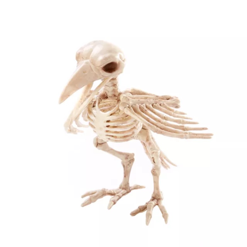 Skeleton Crow  No Size
