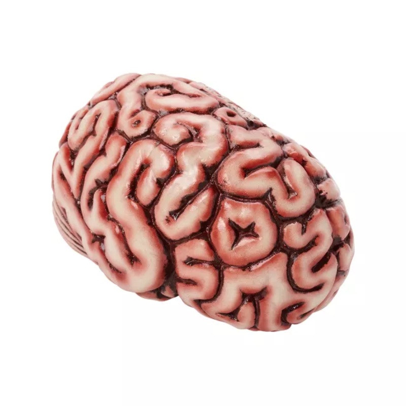 Brain Prop