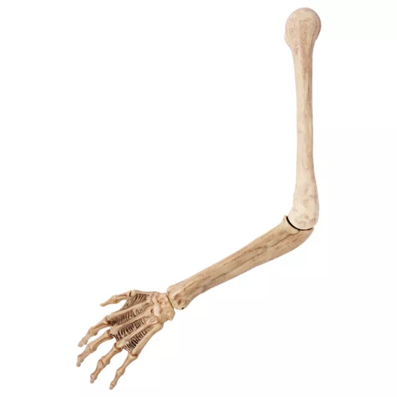 Skeleton Arm Prop - 2023 Spirit Hallows Cemetery