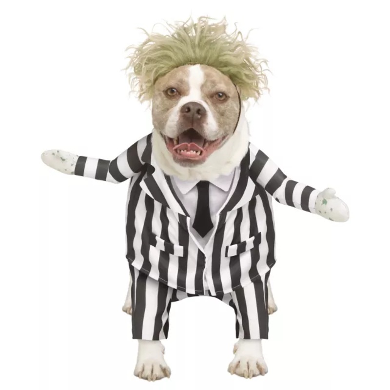 Beetlejuice Pet Costume BLACK AND WHITE PET SMALL