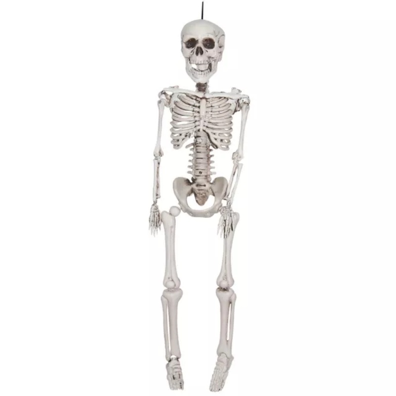 20 In Plastic Skeleton WHITE 20 INCH