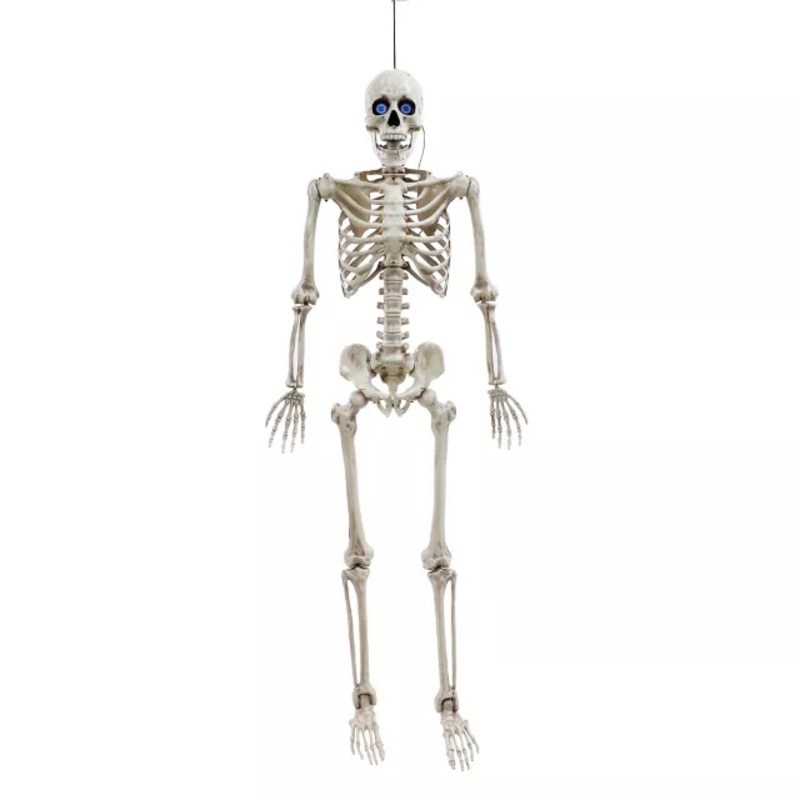 5 Ft Poseable Digieye Skeleton WHITE