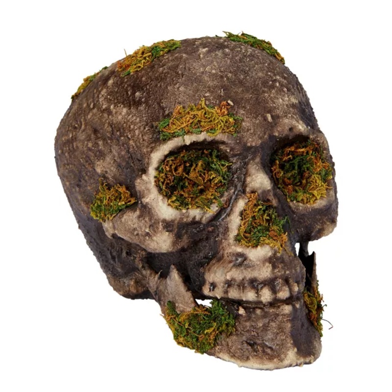 Moss Skull MOSS