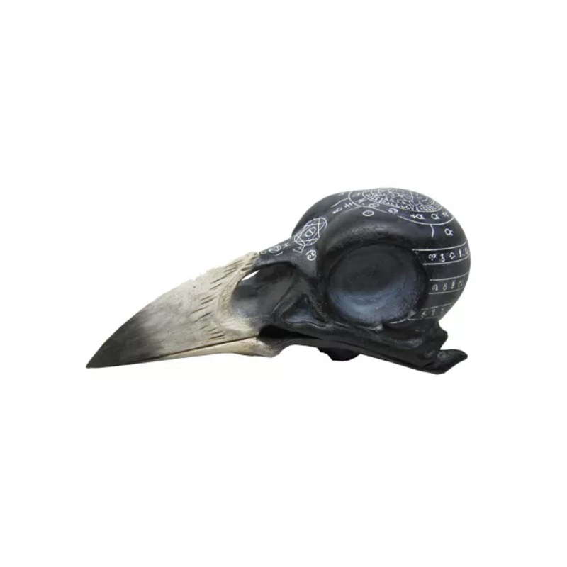 Mystical Arts Crow Skull MULTI-COLOR