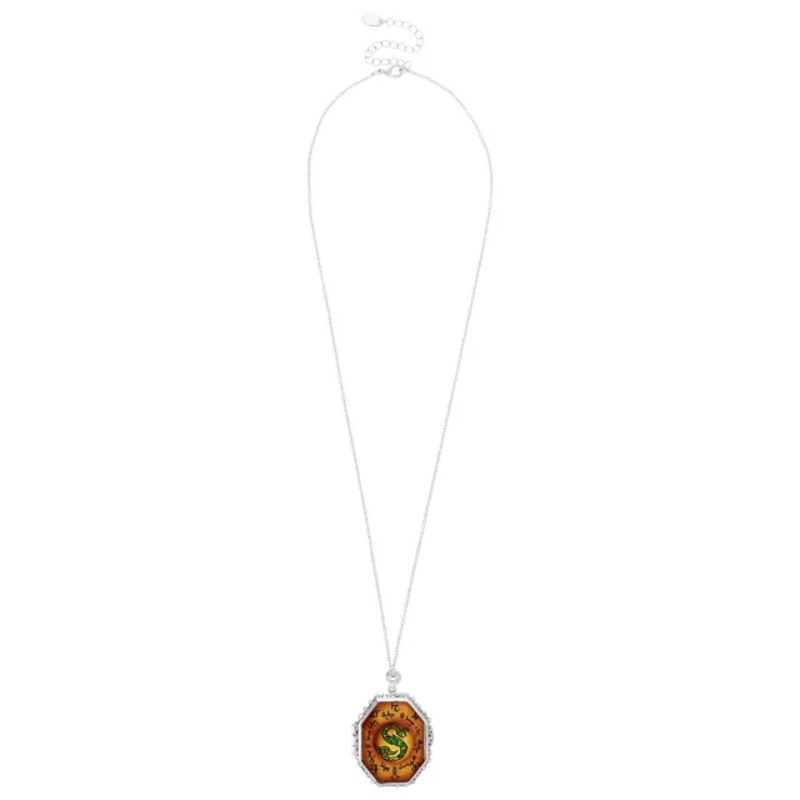 Slytherin Locket Necklace - Harry Potter BROWN ONE SIZE FITS MOST