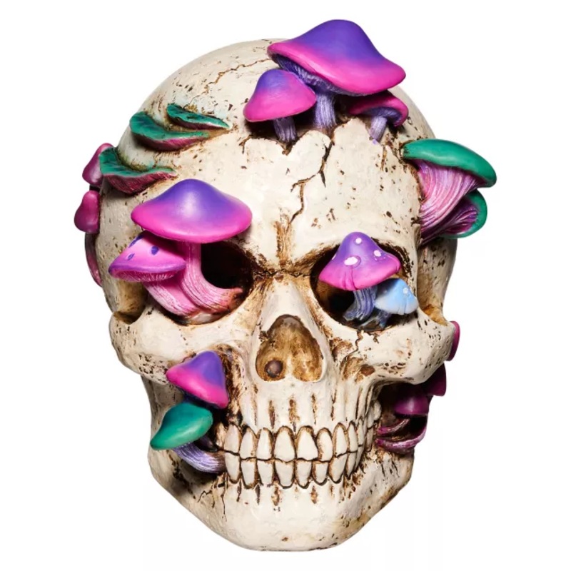Mystical Arts Mushroom Skull MULTI-COLOR