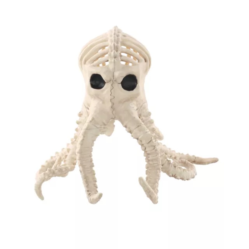 Octopus Skeleton