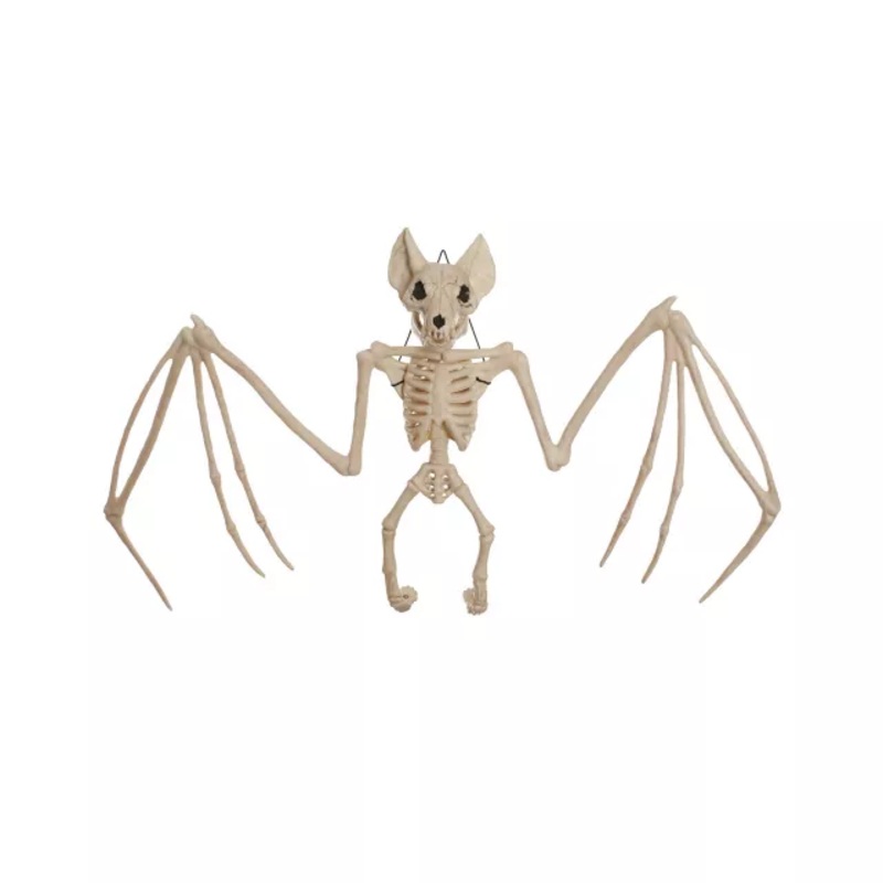 22.5 Inch Bat Skeleton  No Size