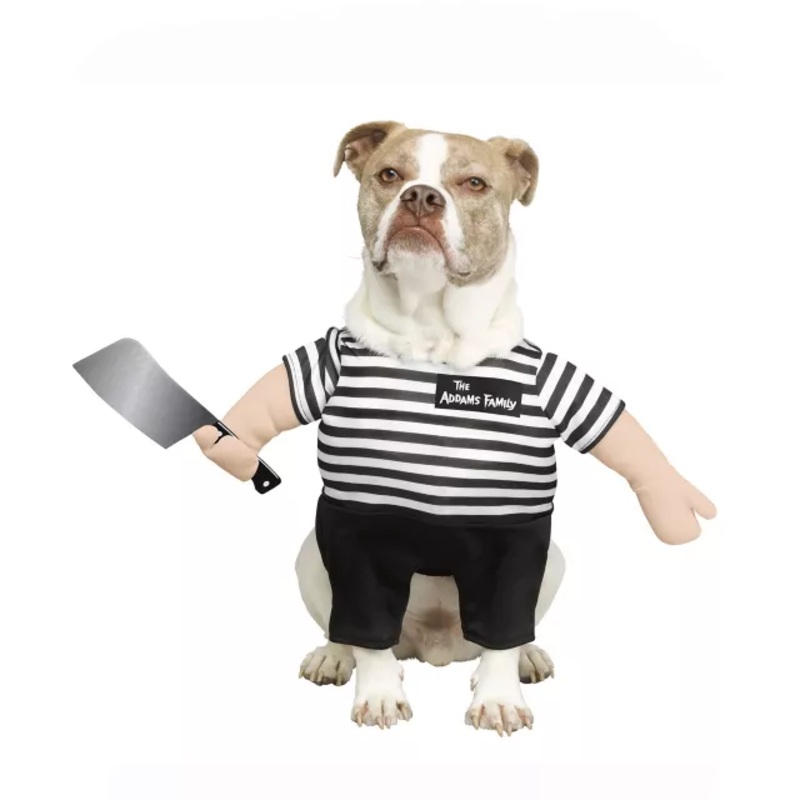 Pugsley Addams Pet Costume - The Addams Family BLACK AND WHITE PET SMALL