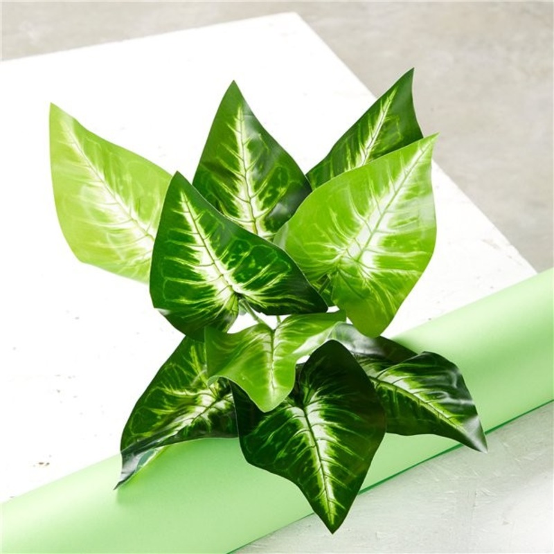 Diffenbachia flower decoration 31cm