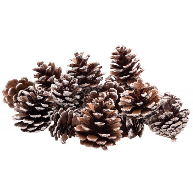 Snowy pine cones 100g