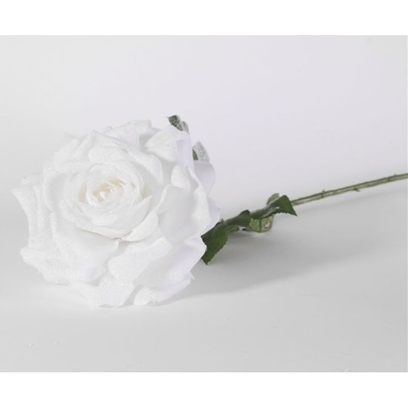 White Madonna Rose 67cm