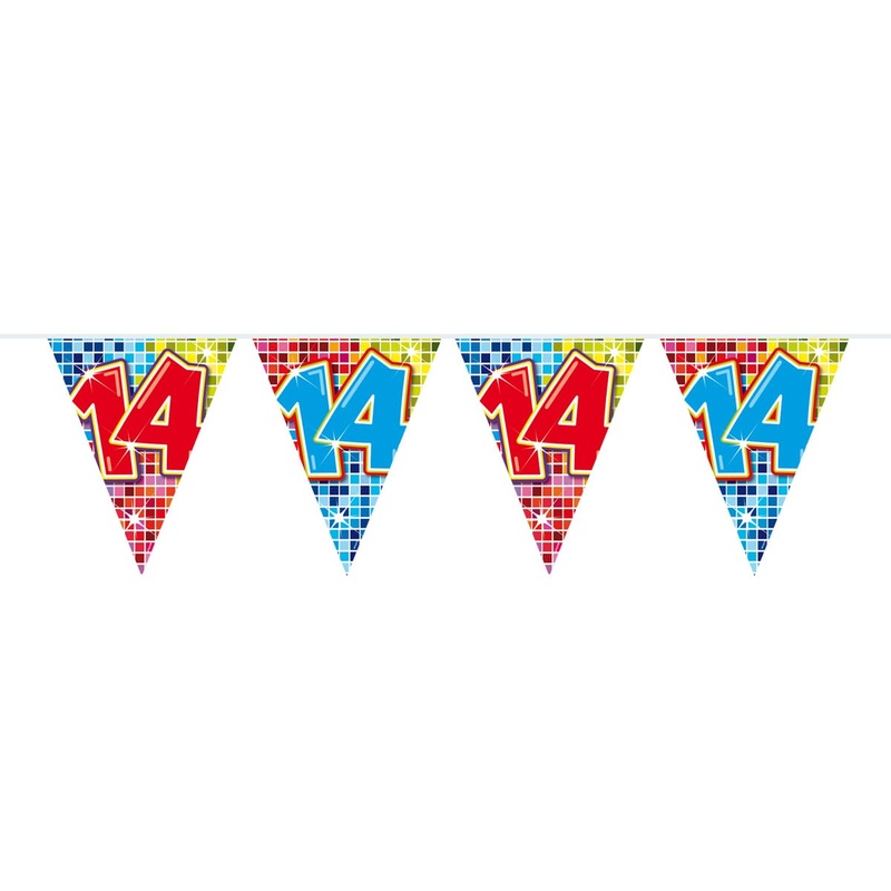 Groovy 14th Birthday pennant chain 6m