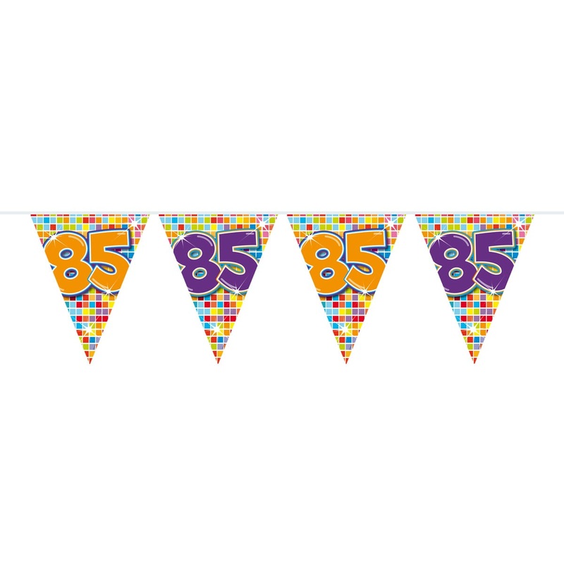 Groovy 85th Birthday pennant chain 6m