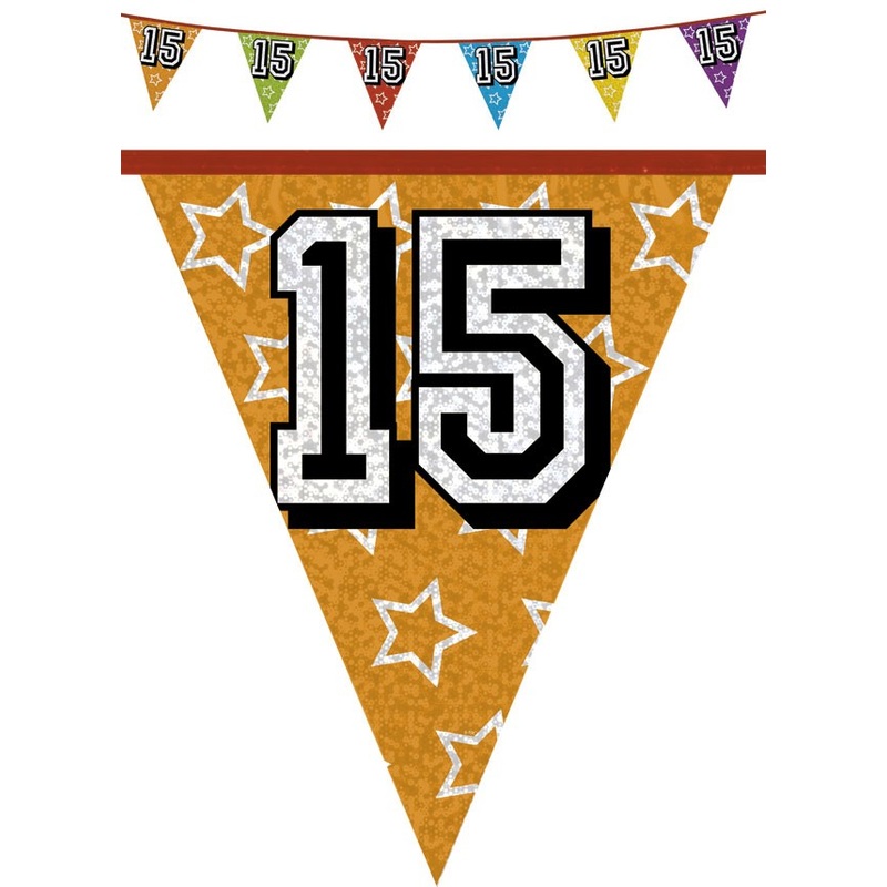 Holographic pennant chain 15 colored 8m