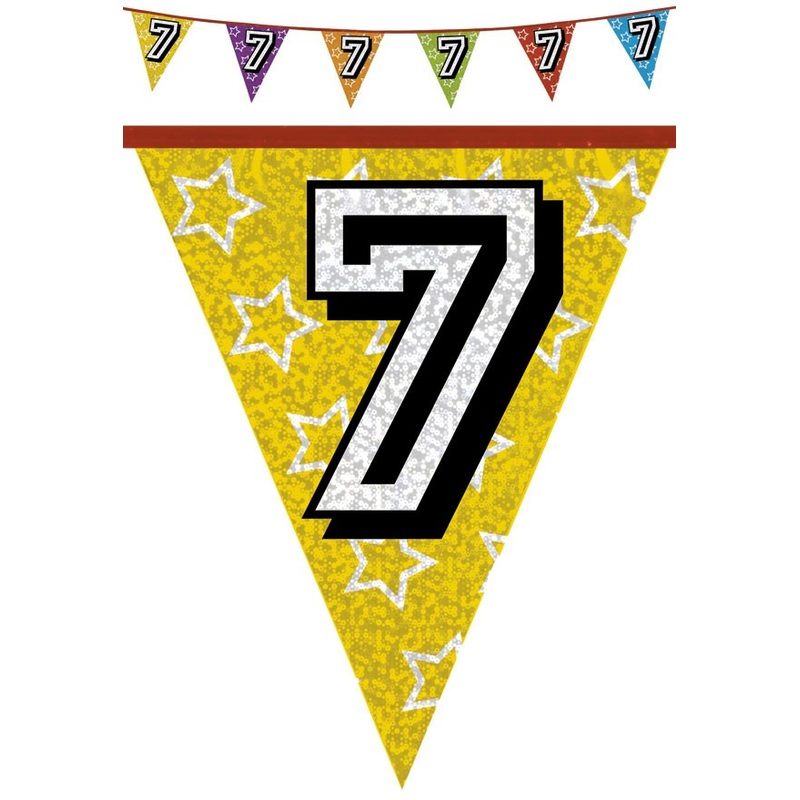 Holographic pennant chain 7 colored 8m