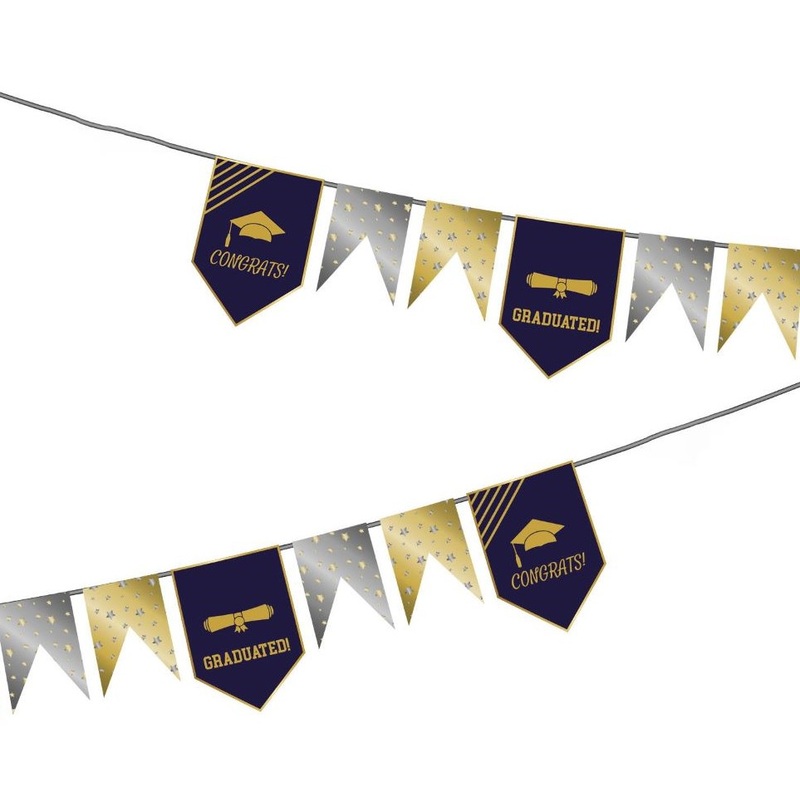 Shiny Congrats pennant chain 6m