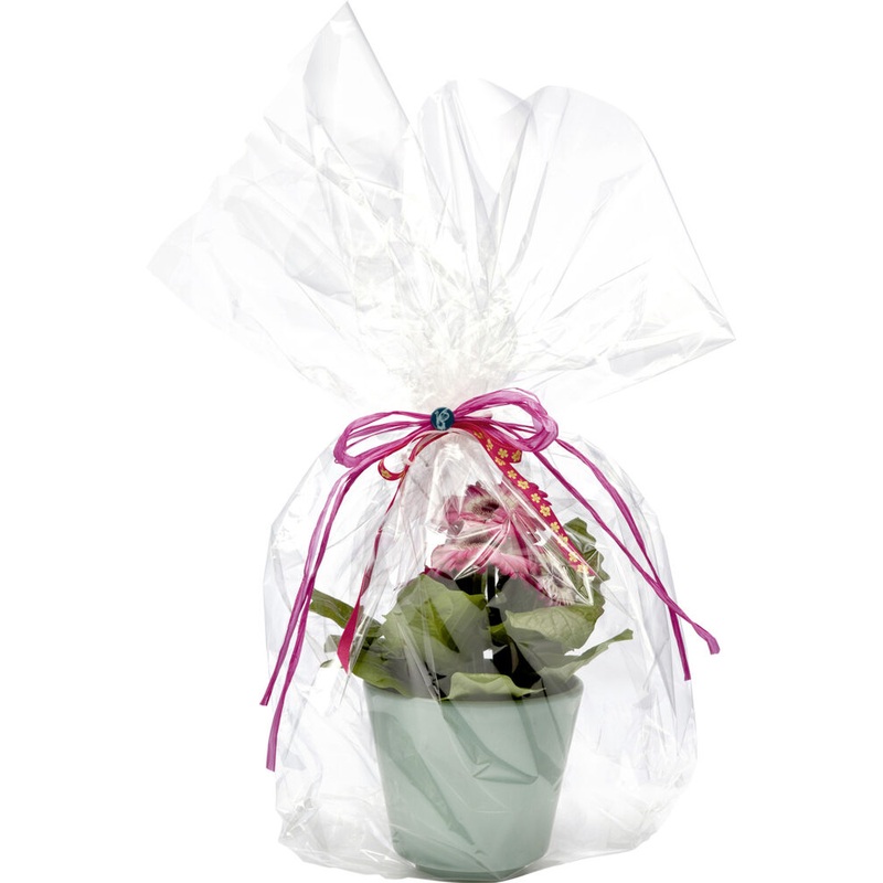 Geschenkfolie transparent 75cmx25m