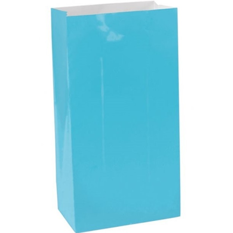 12 azure paper bags Paloma 24cm