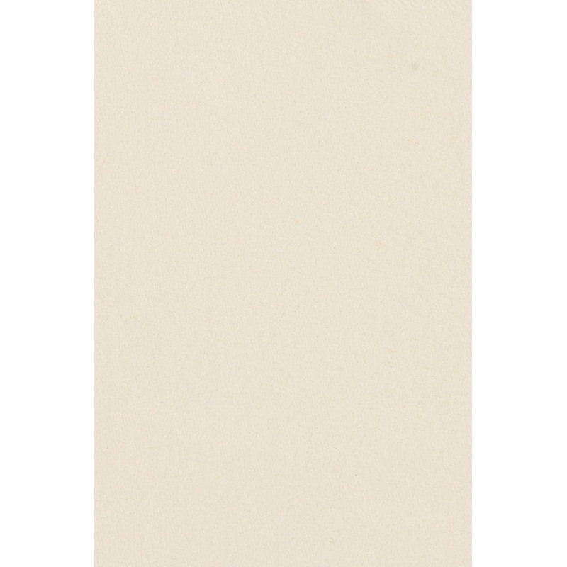 Plastic tablecloth Mila vanilla 3.05 x 1.01m