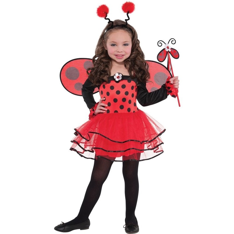 Ballerina Ladybird Costume Girls