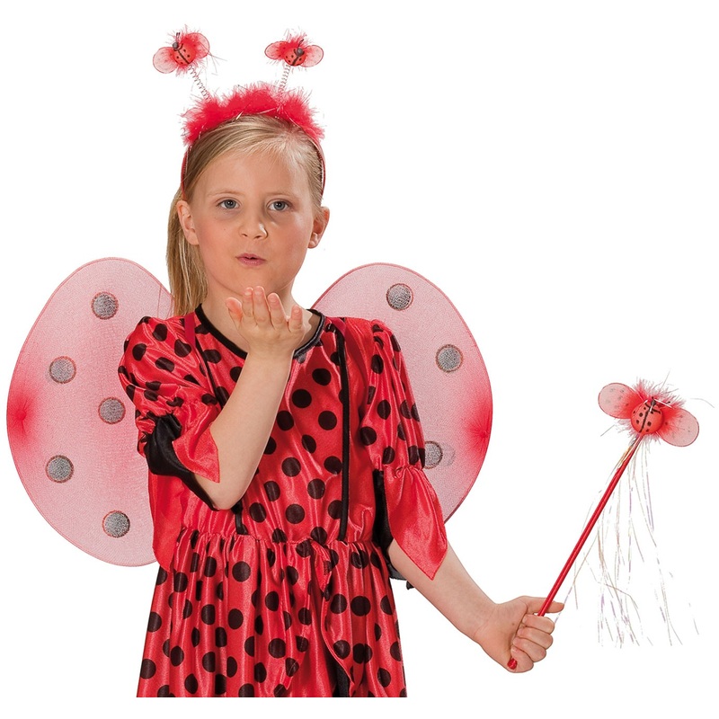 Ladybug Accessore Set For Children
