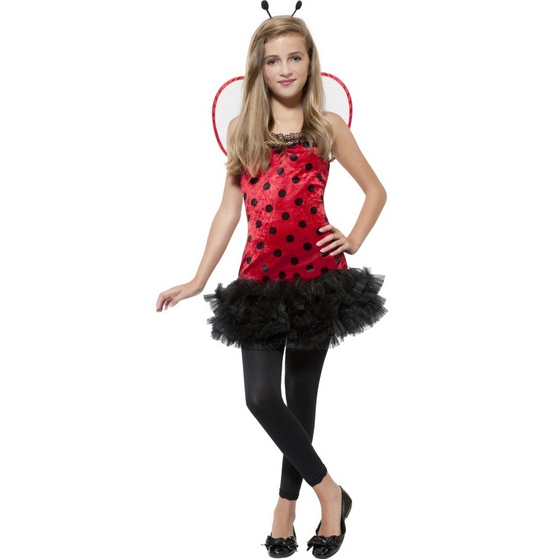 Mary ladybug ladies costume