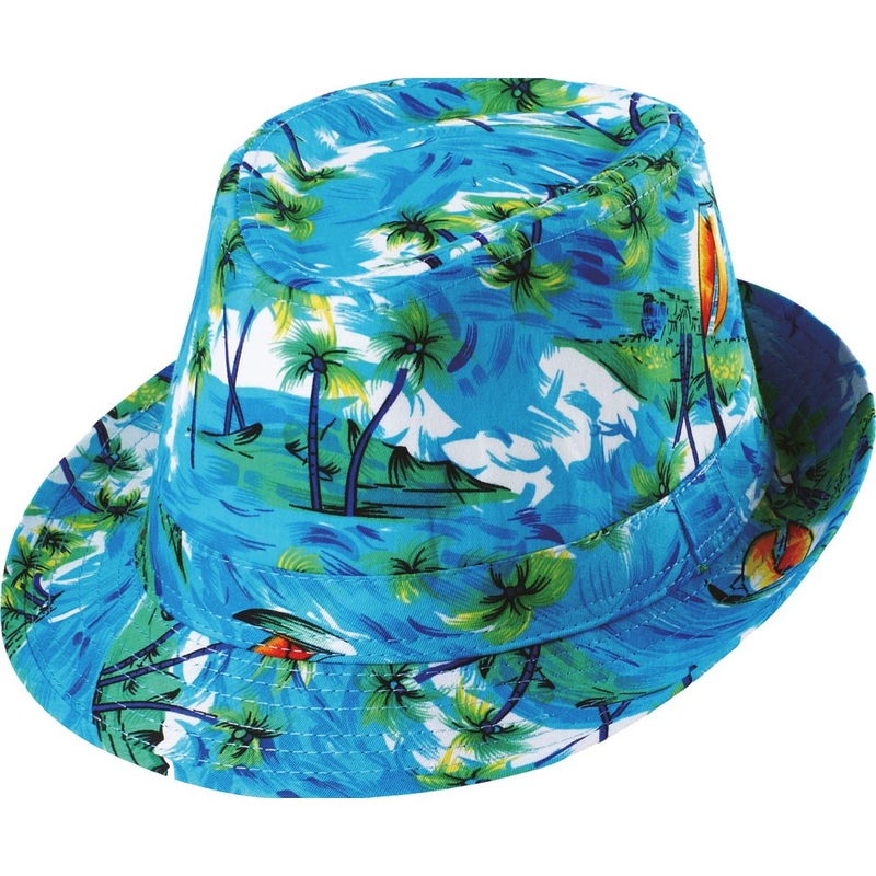 Hawaii party hat
