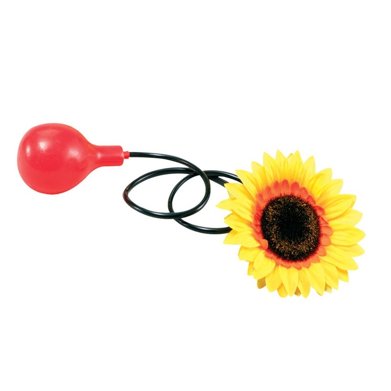 Fun spritz sunflower