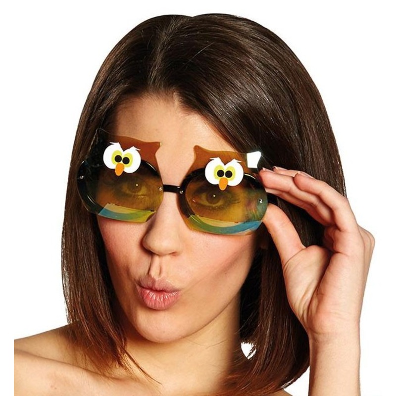 Funny owl sunglasses