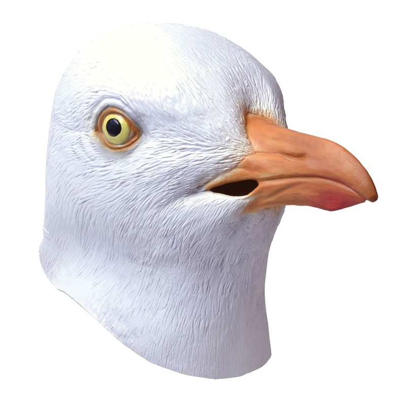 North Sea seagull full face mask