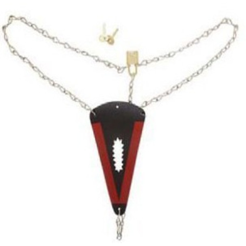 Chastity belt joke article