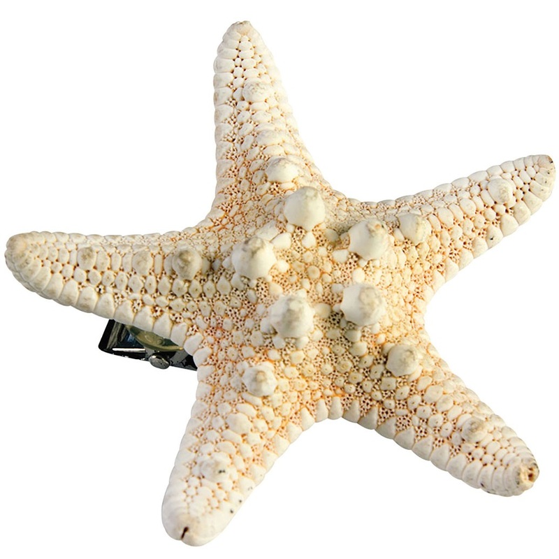 Sea starfish hair clip