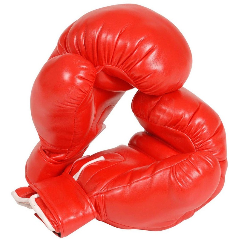 Professional boxer gloves