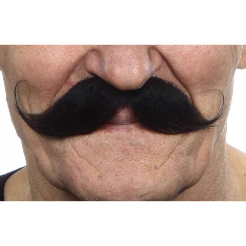 Black mustache Edelbert