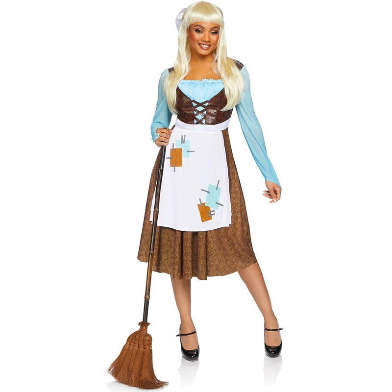 Cinderella costume for women deluxe S