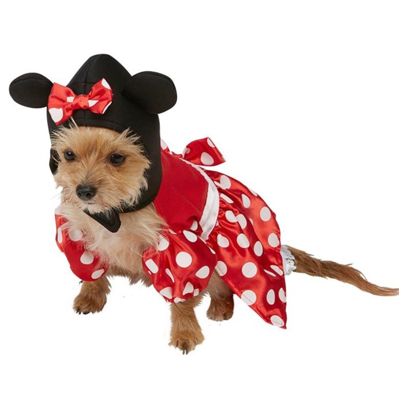 Dog Minnie Mouse costume XS