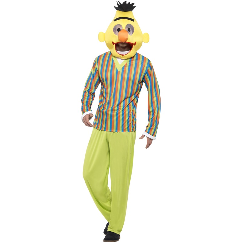 Sesame Streets Bert Child Costume